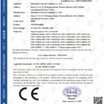 LED Downlight LVD certificate
